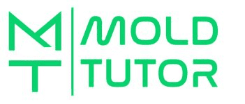 Moldtutor.com logo