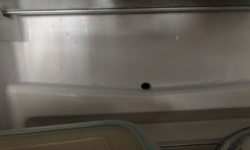 black mold in fridge