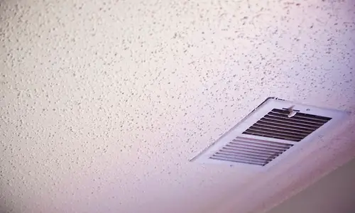 black mold on popcorn ceiling