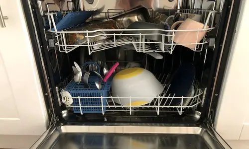 dishwasher mold removal 