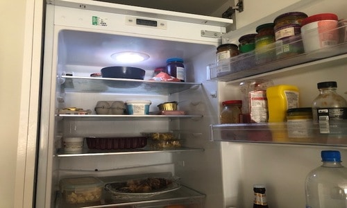 mold in fridge