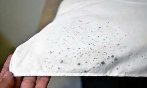how to remove mold on fabric