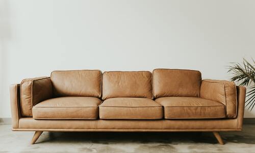 mold on leather sofa