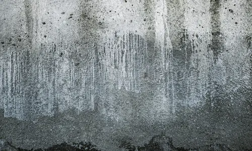how to remove mold from concrete
