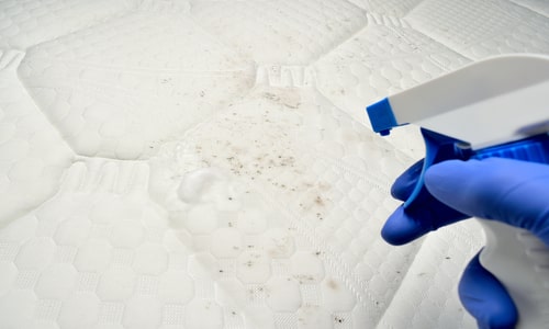 how to remove mold on a mattress