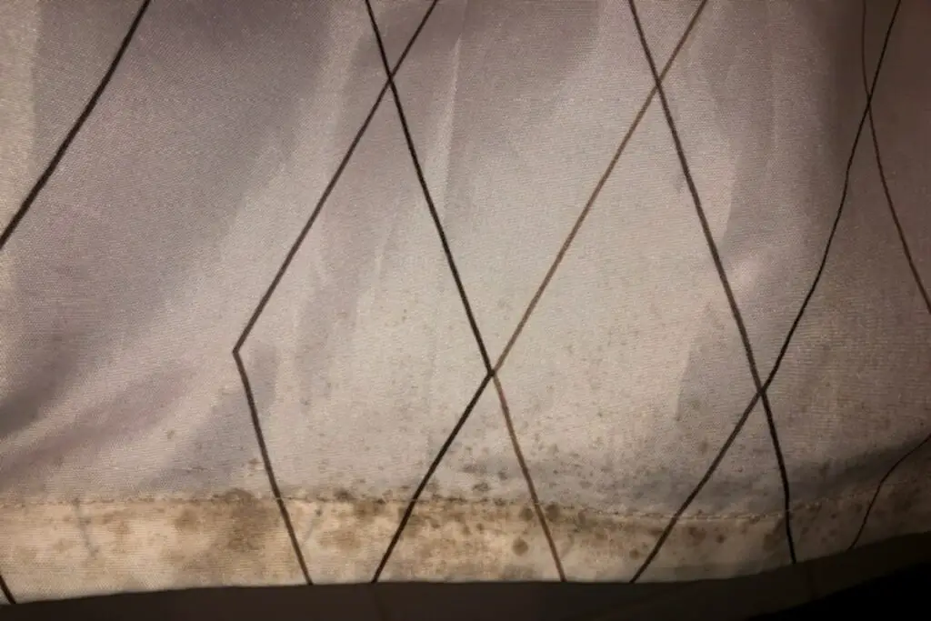 Mold On Shower Curtain How To Clean Mildew From Plastic & Fabric