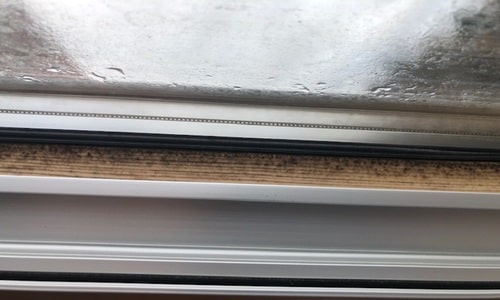 How to stop mold growing on windows