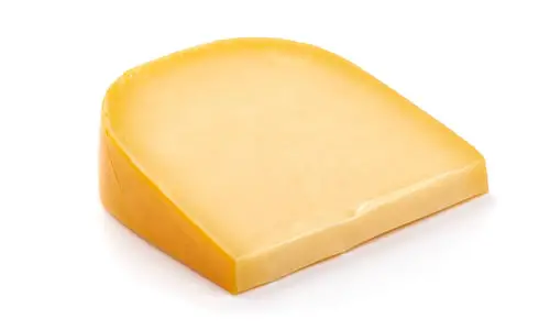 Moldy gouda cheese