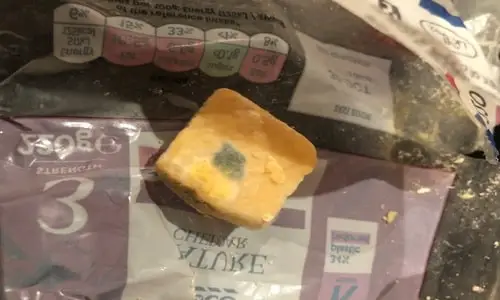 is moldy cheddar cheese safe to eat