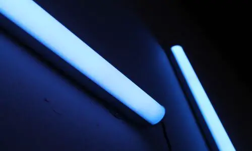 Does UV light kill mould