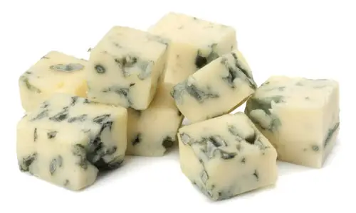 blue cheese mold