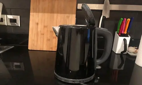 Mold in electric kettle